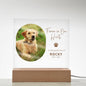 Personalized Pet Memorial LED Plaque, Dog Memorial Gift, Custom Memorial Plaque Photo, Pet Loss Gift, Light Up Pet Memorial Night Light