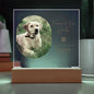 Personalized Pet Memorial LED Plaque, Dog Memorial Gift, Custom Memorial Plaque Photo, Pet Loss Gift, Light Up Pet Memorial Night Light
