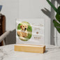 Personalized Pet Memorial LED Plaque, Dog Memorial Gift, Custom Memorial Plaque Photo, Pet Loss Gift, Light Up Pet Memorial Night Light