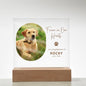 Personalized Pet Memorial LED Plaque, Dog Memorial Gift, Custom Memorial Plaque Photo, Pet Loss Gift, Light Up Pet Memorial Night Light