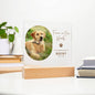 Personalized Pet Memorial LED Plaque, Dog Memorial Gift, Custom Memorial Plaque Photo, Pet Loss Gift, Light Up Pet Memorial Night Light