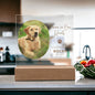 Personalized Pet Memorial LED Plaque, Dog Memorial Gift, Custom Memorial Plaque Photo, Pet Loss Gift, Light Up Pet Memorial Night Light