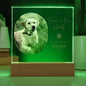 Personalized Pet Memorial LED Plaque, Dog Memorial Gift, Custom Memorial Plaque Photo, Pet Loss Gift, Light Up Pet Memorial Night Light