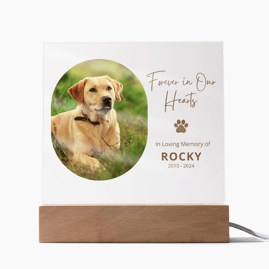 Personalized Pet Memorial LED Plaque, Dog Memorial Gift, Custom Memorial Plaque Photo, Pet Loss Gift, Light Up Pet Memorial Night Light