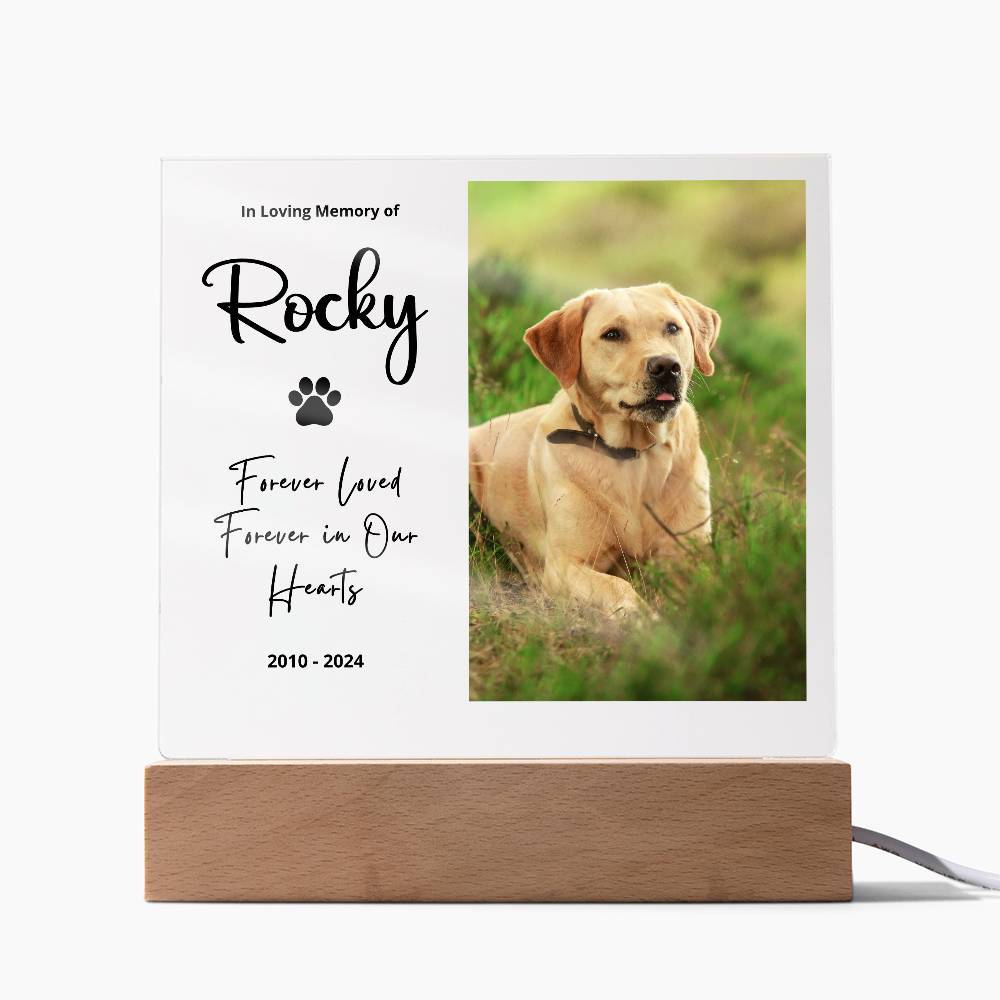 Personalized Pet Memorial LED Plaque