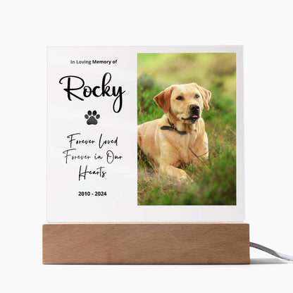 Personalized Pet Memorial LED Plaque