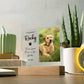 Personalized Pet Memorial LED Plaque