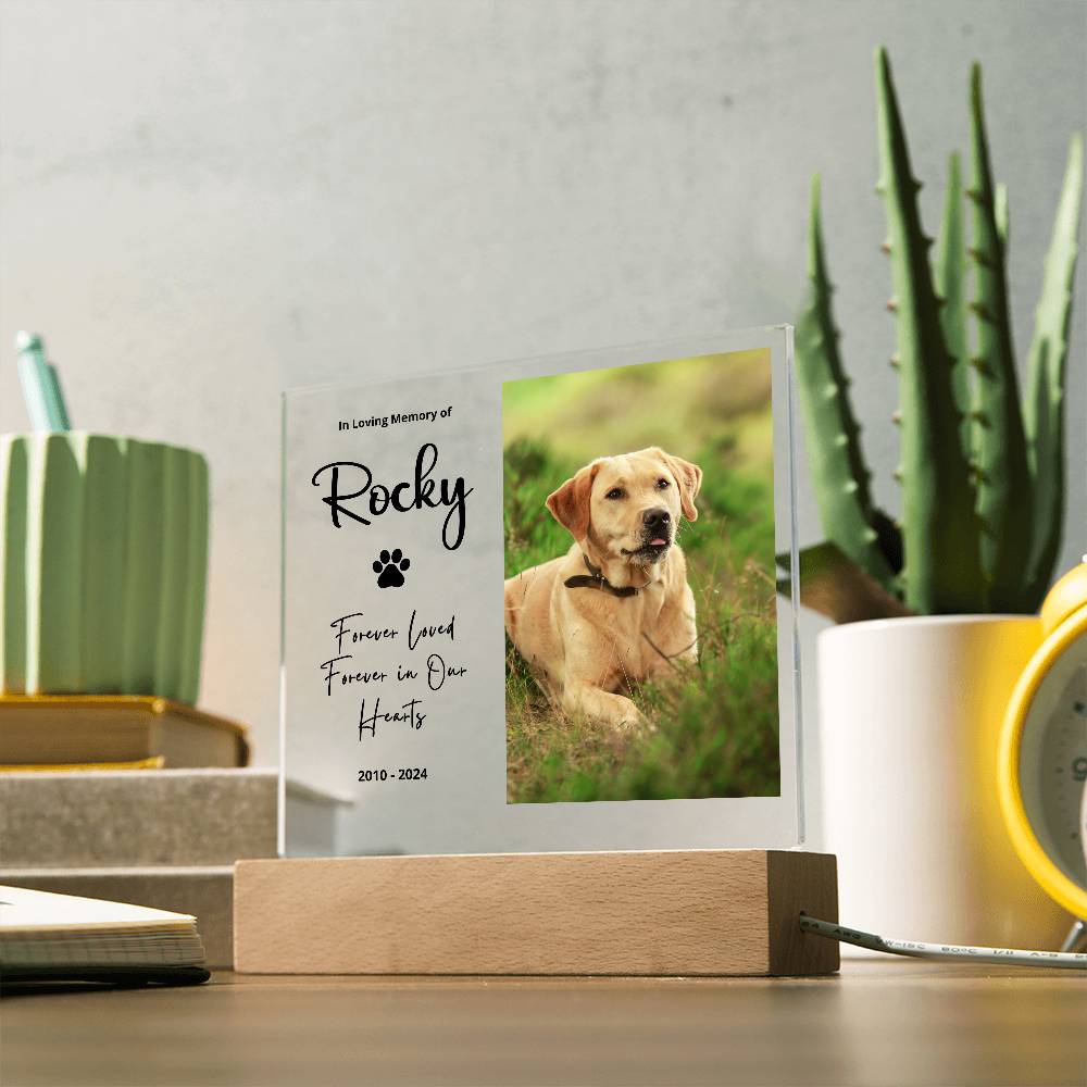 Personalized Pet Memorial LED Plaque