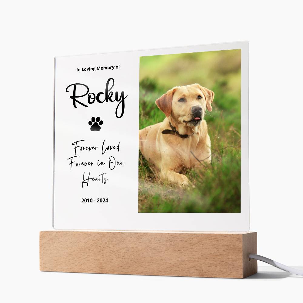 Personalized Pet Memorial LED Plaque