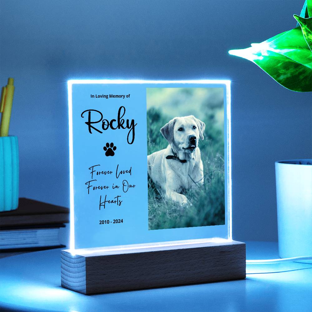 Personalized Pet Memorial LED Plaque