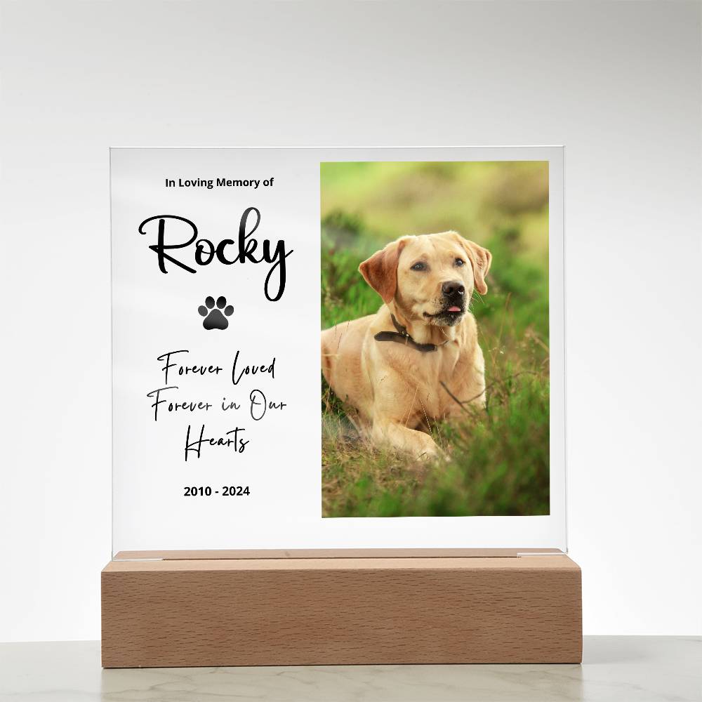 Personalized Pet Memorial LED Plaque