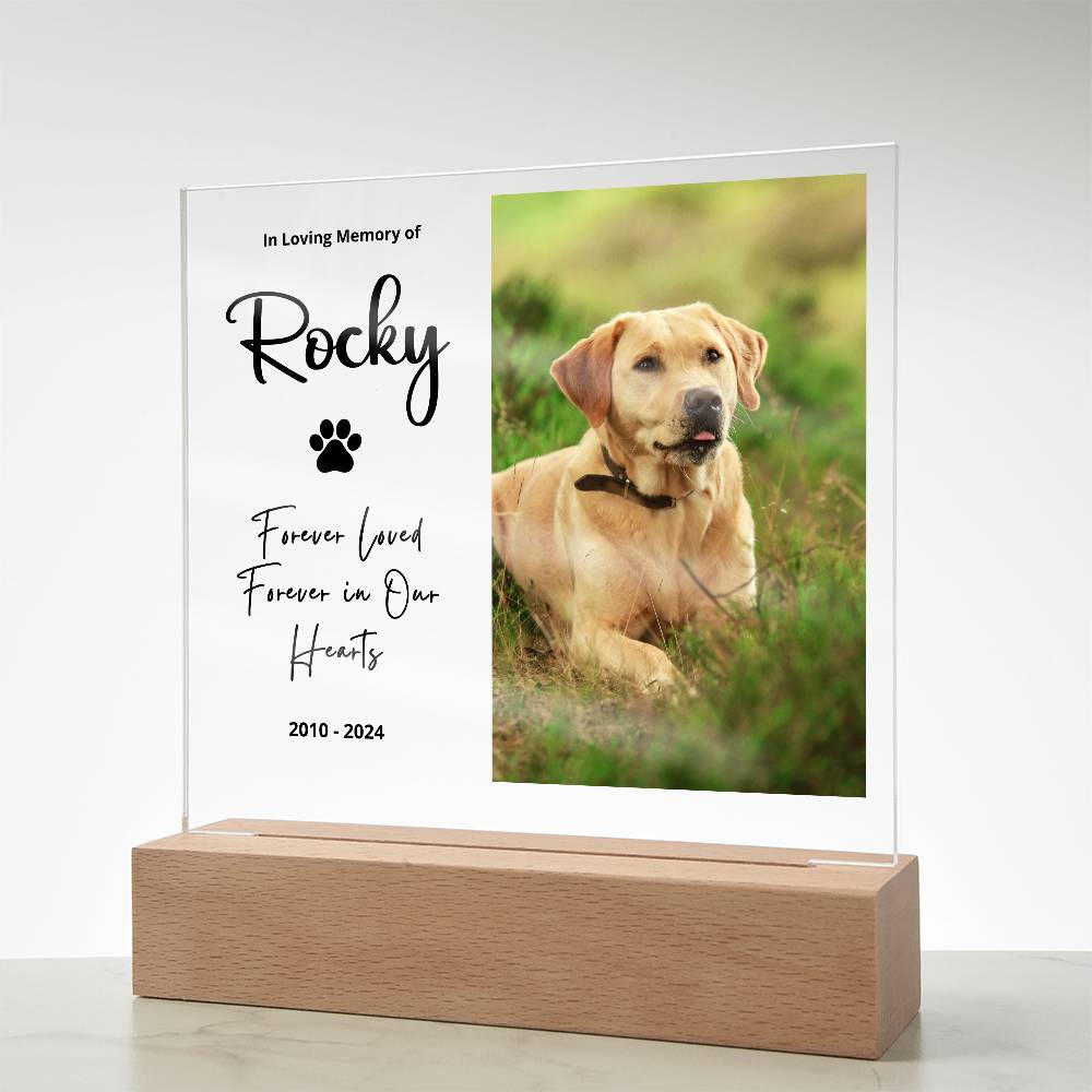Personalized Pet Memorial LED Plaque