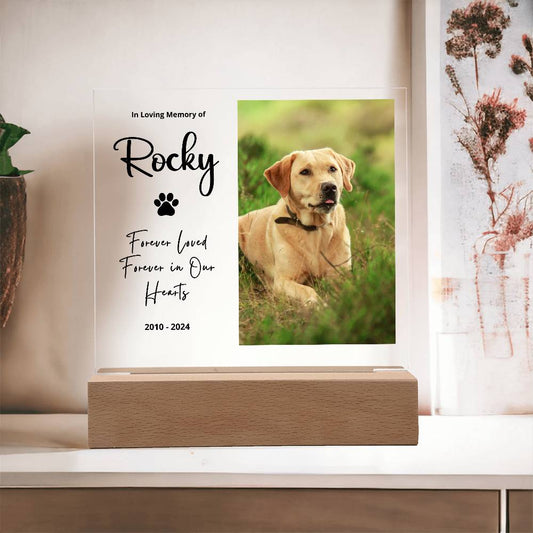 Personalized Pet Memorial LED Plaque