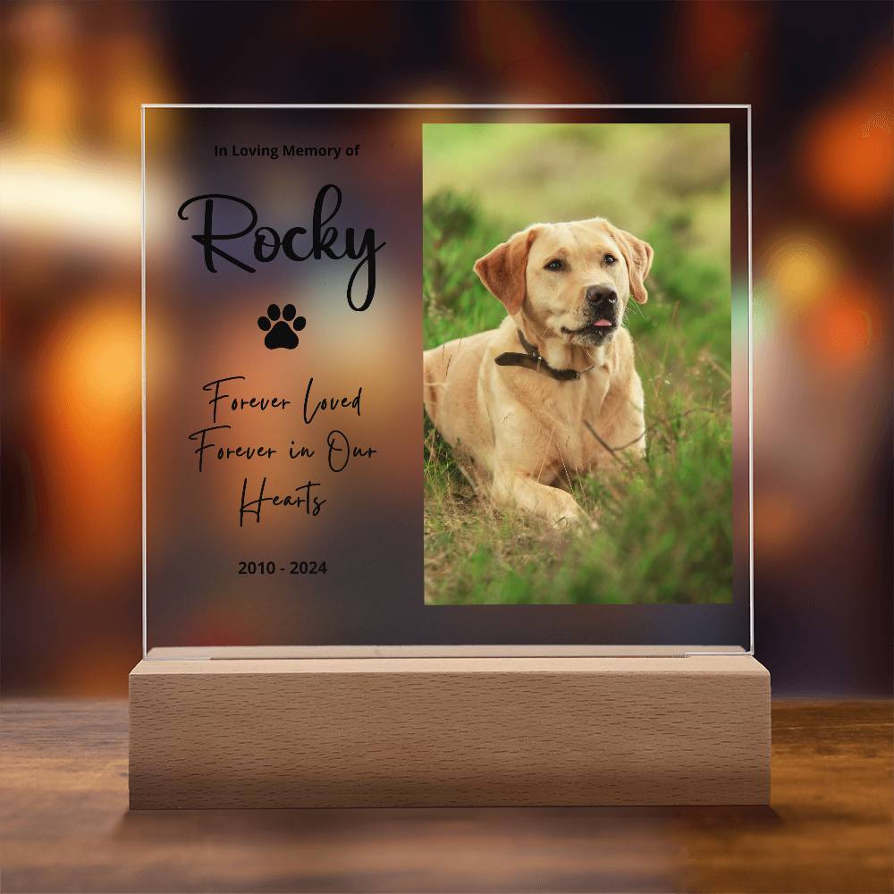 Personalized Pet Memorial LED Plaque