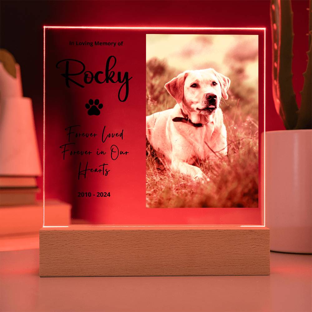 Personalized Pet Memorial LED Plaque