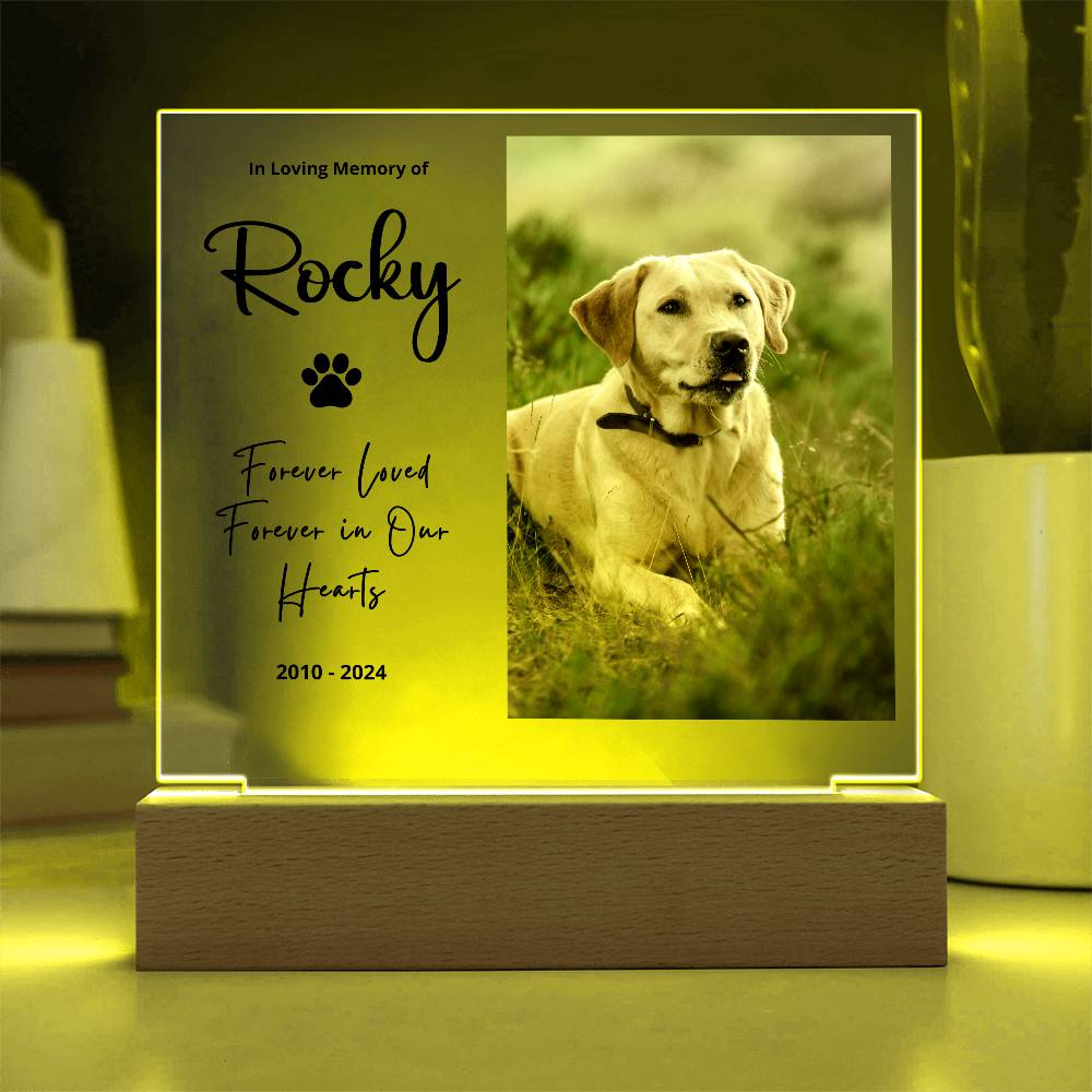 Personalized Pet Memorial LED Plaque